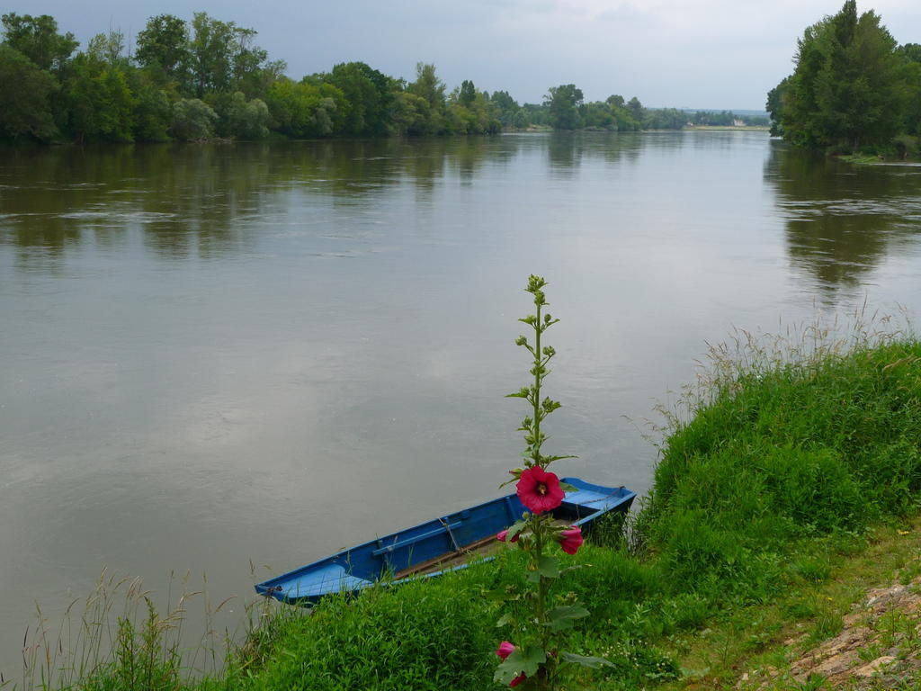 Bed and Breakfast Escale de Loire à Chouzé-sur-Loire Extérieur photo