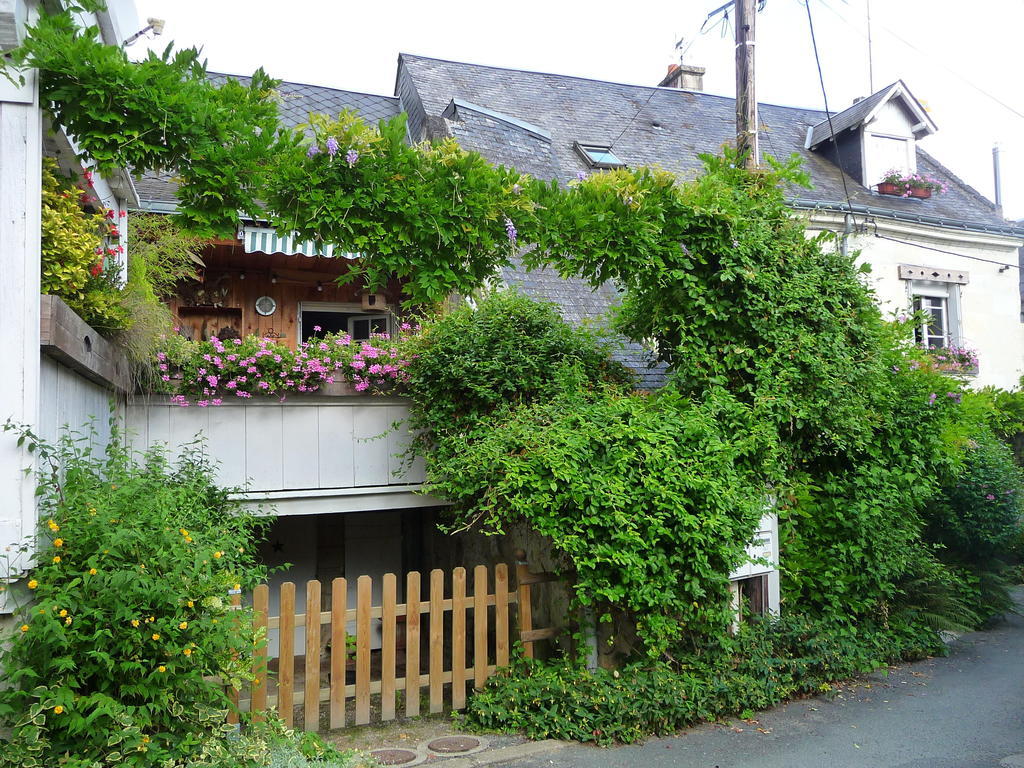 Bed and Breakfast Escale de Loire à Chouzé-sur-Loire Extérieur photo